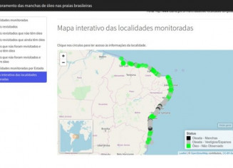 Estudante da UFG cria site que monitora mancha de óleo nas praias brasileiras (Foto: Reprodução)