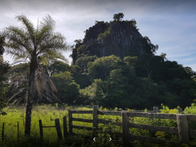 Toca da onça: Uma memória da Formosa de ontem, contada pelos moços de hoje - Por Paulinho MPB