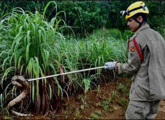 Foto: Reprodução Corpo de Bombeiros