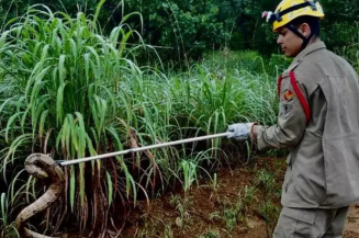 Foto: Reprodução Corpo de Bombeiros