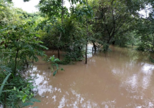 Foto: Reprodução Ocorrências Policiais