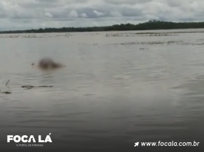 Arte Portal Foca Lá