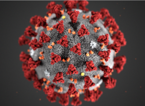 Goiás registra cinco mortes confirmadas por Covid-19, diz SES (Foto: CDC/ Reprodução)