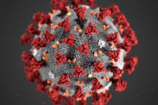 Goiás registra cinco mortes confirmadas por Covid-19, diz SES (Foto: CDC/ Reprodução)