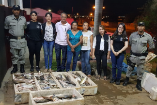 Foto: Reprodução | PC | Ocorrências Policiais