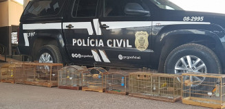 Foto: Divulgação Polícia Civil