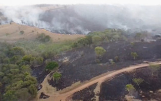 Incêndio destrói vegetação no sudeste de Goiás após locomotiva pegar fogo — Foto: Reprodução/TV Anhanguera