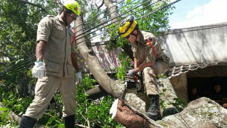 Bombeiros atuam na ocorrência no Jardim Santo Antônio (Foto: Bombeiros)