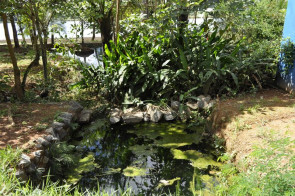 S.O.S Lagoa Feia: Mais de 6 toneladas de lixo é retirado durante ação