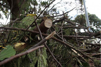 Foto: Reprodução/Google
