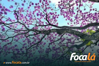 Foto: Reprodução Ed Alves/CB/D.A Press