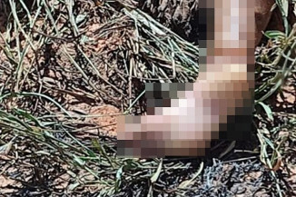 Foto: Reprodução/Polícia Civil