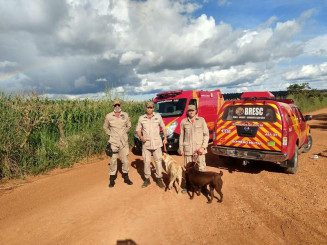 Foto: Reprodução | Corpo de Bombeiros