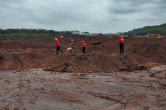 Bombeiros de Goiás e cães farejadores auxiliam nas buscas em Brumadinho (Foto: Divulgação/CBMGO)