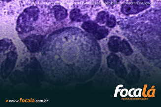 Foto: Laboratory Identification of Parasites of Public Health Concern/Divulgação