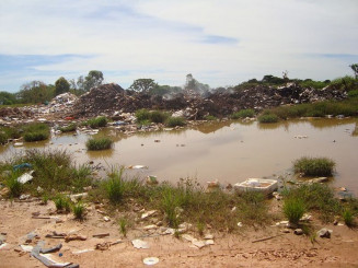 Em vistoria, foi detectada presença de pessoas e animais no local